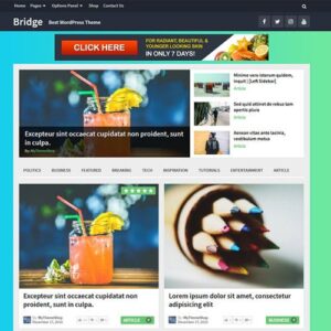 MyThemeShop Bridge WordPress Theme